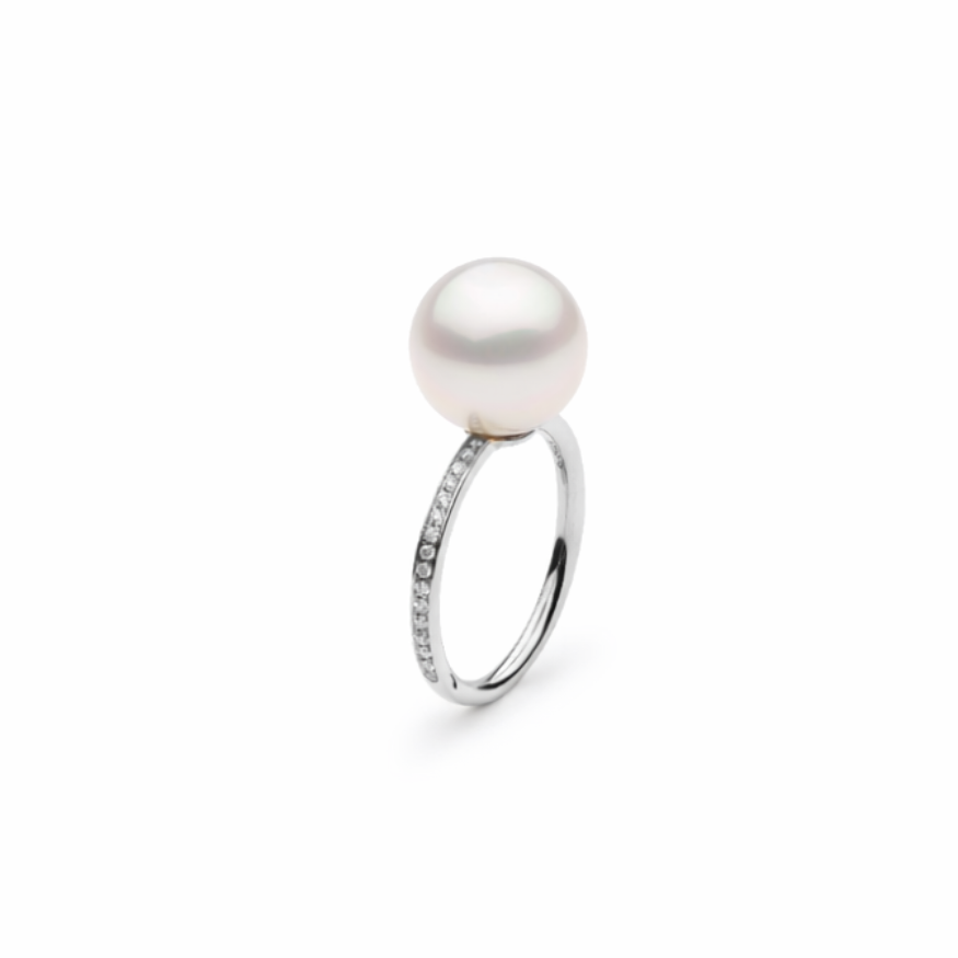 Autore South Sea Pearl set in 18kt white gold white diamond pave band