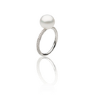 Autore Three Row Eternity Diamond Pave ring with an Australian South Sea Pearl on 18kt white gold