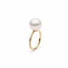 Autore South Sea Pearl set in 18kt yellow gold single row pave band ring