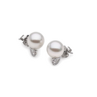 Autore South Sea Pearl set with white diamond in 18kt white gold stud earring.