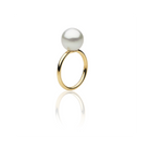 Autore South Sea Pearl set in 18kt yellow gold band ring