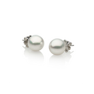 Autore South Sea Pearl set on 18kt white gold stud earrings