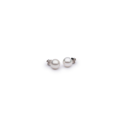 Autore Oro Studs with South Sea pearls in 18kt white gold